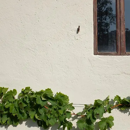 Ca' Pasquin * Roccaverano