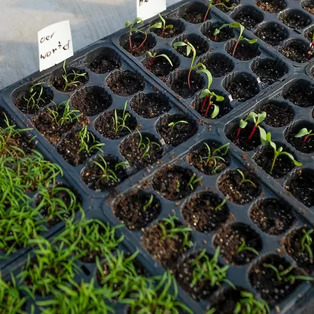 Lägenhet Ca' Pasquin *