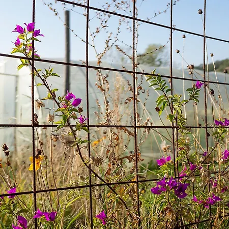 Lägenhet Ca' Pasquin *