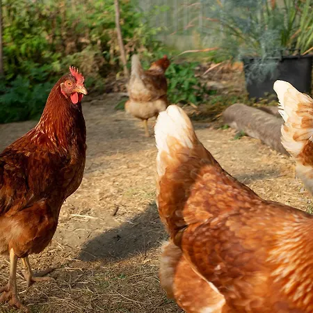 Ca' Pasquin * Roccaverano