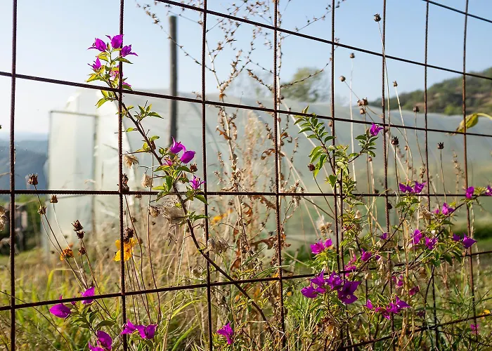 Lejlighed Ca' Pasquin *