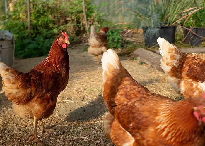 Ca' Pasquin * Roccaverano