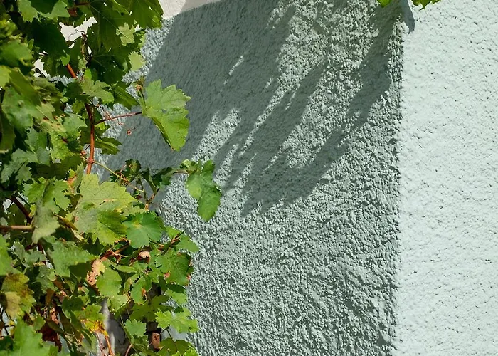 Ca' Pasquin * Roccaverano